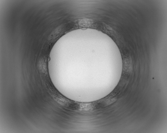 X0000067330705200604281419