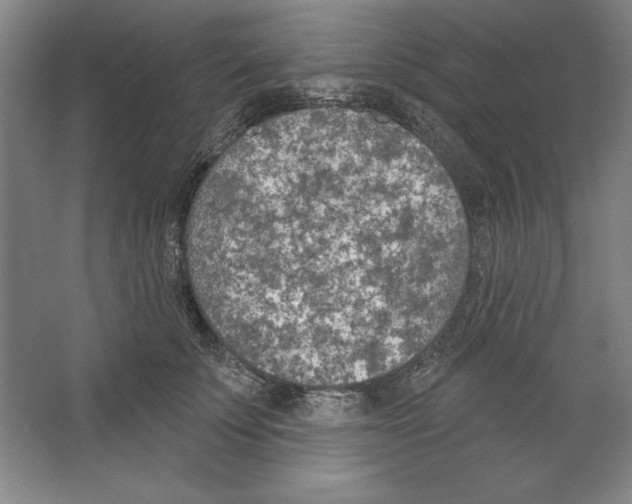 X0000067330707200604281419