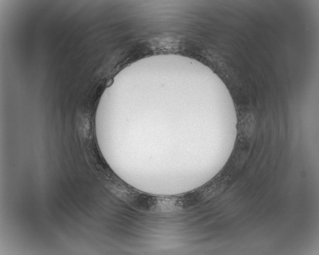 X0000067330709200604281419