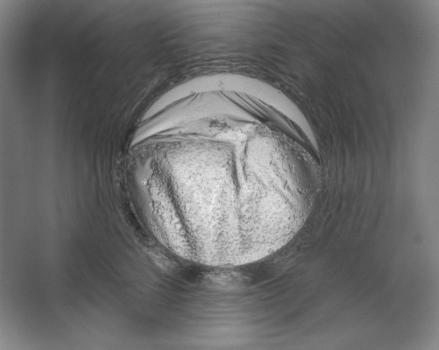 X0000067330712200604281419