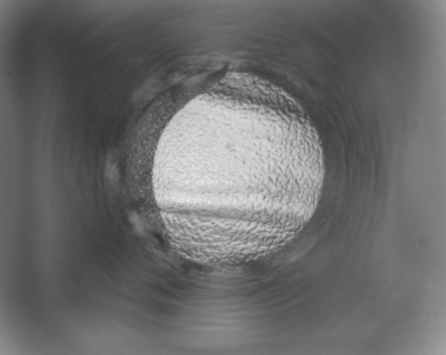 X0000067330720200604281419