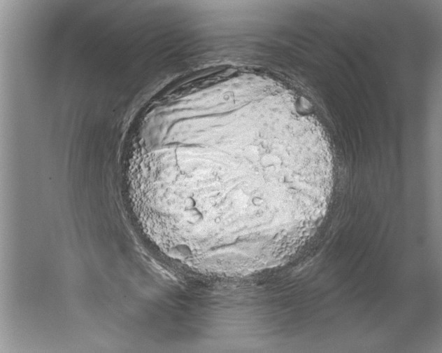 X0000067330721200604281418