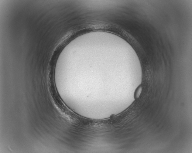 X0000067330730200604281418
