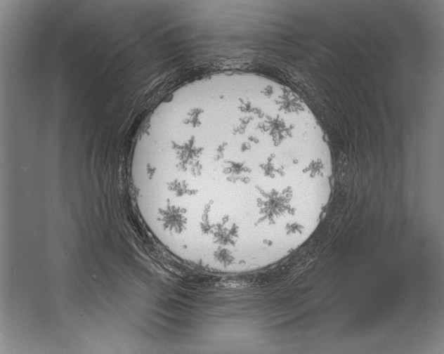 X0000067330741200604281418