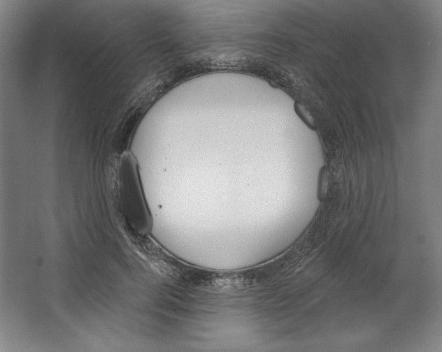 X0000067330744200604281418