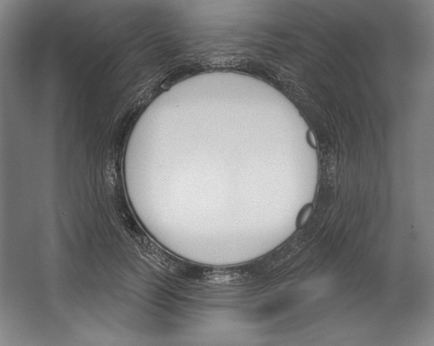X0000067330746200604281418