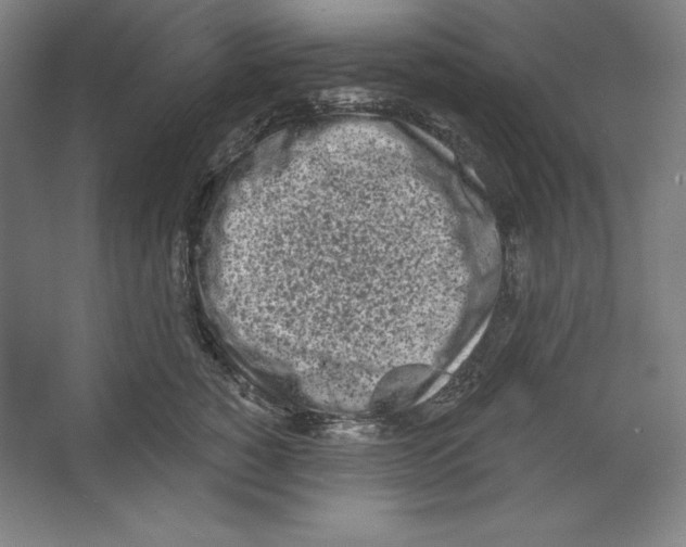 X0000067330760200604281419