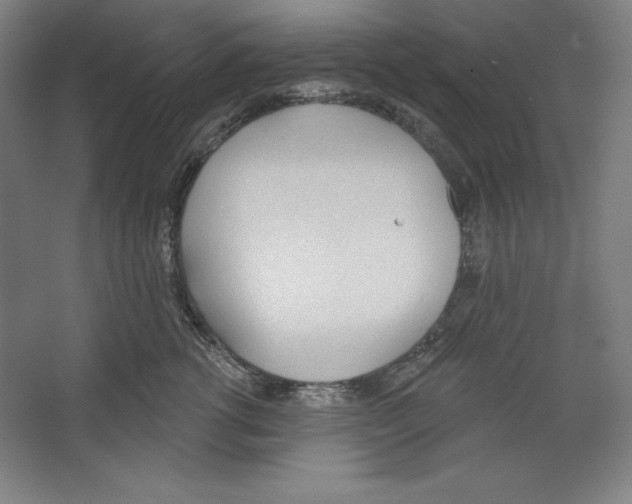 X0000067330762200604281419