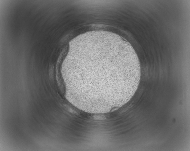 X0000067330765200604281419