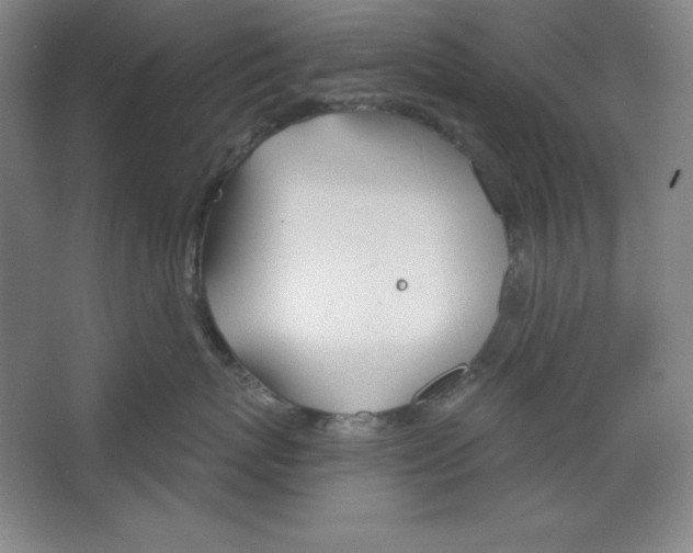 X0000067330767200604281419