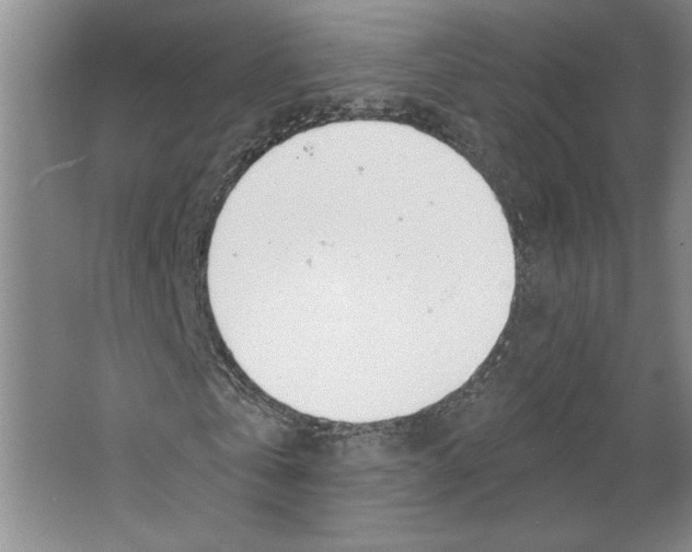 X0000067330769200604281418