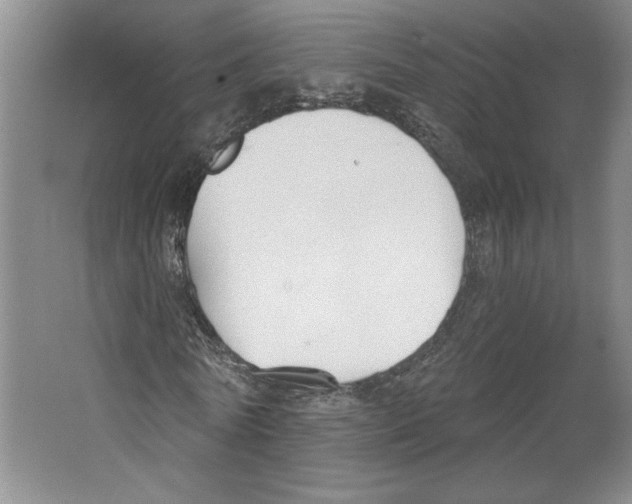 X0000067330770200604281418