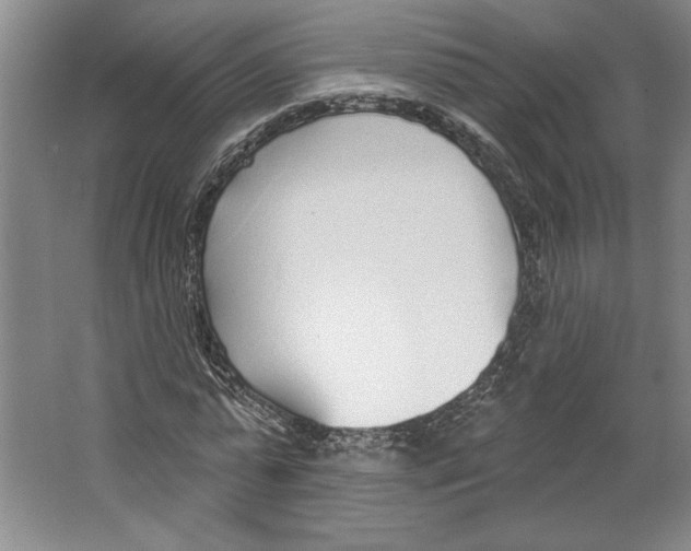 X0000067330775200604281418