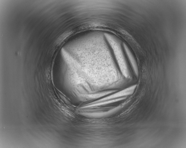 X0000067330785200604281418