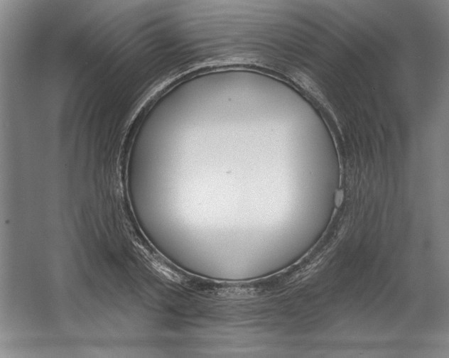 X0000067330789200604281418
