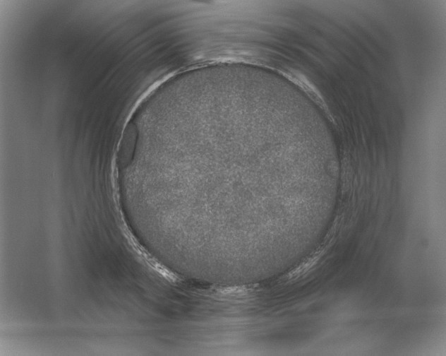 X0000067330798200604281417