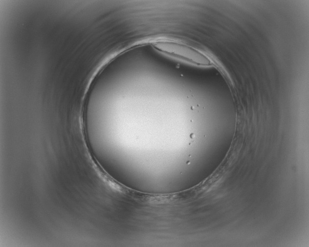 X0000067330813200604281417