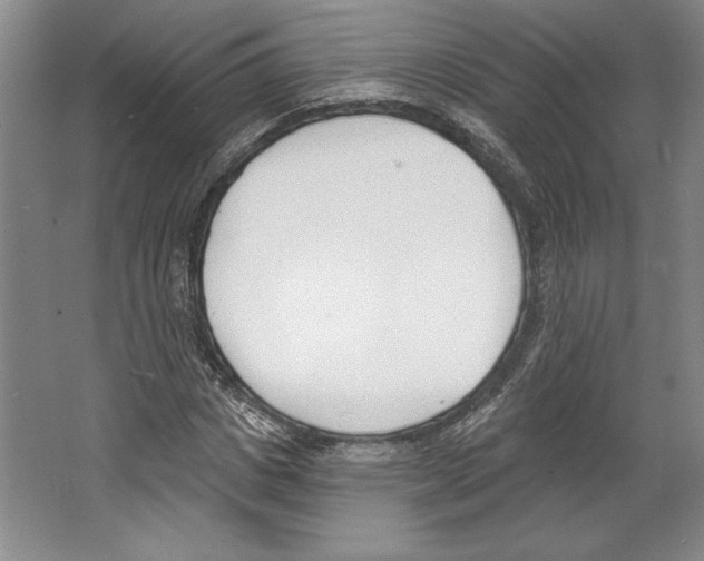 X0000067330825200604281416