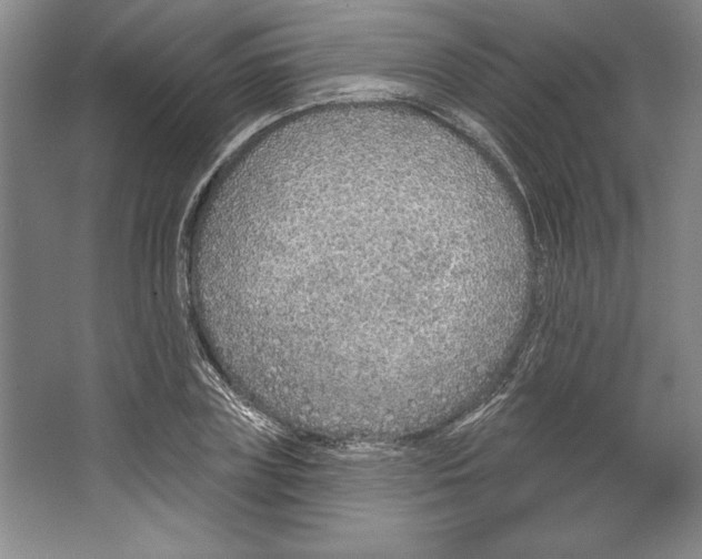 X0000067330835200604281417