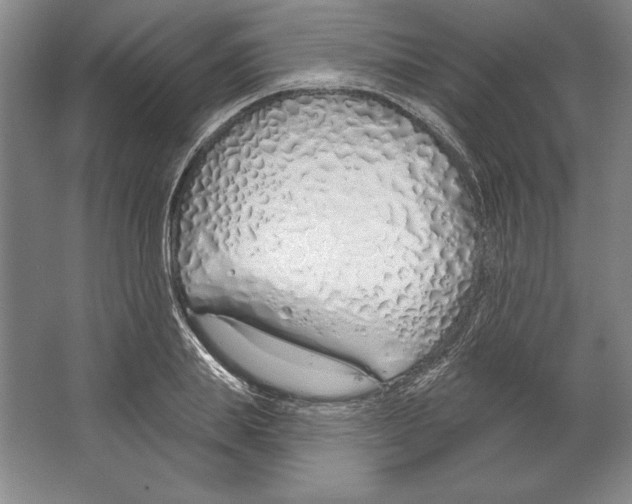X0000067330839200604281417