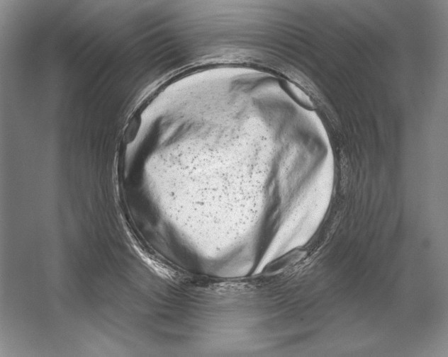 X0000067330842200604281417