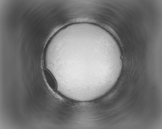 X0000067330847200604281417