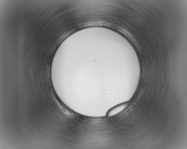 X0000067330849200604281417