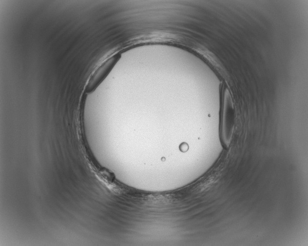 X0000067330850200604281417