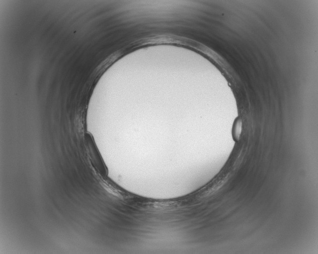 X0000067330857200604281417