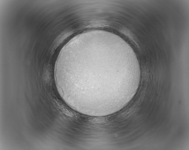 X0000067330874200604281416