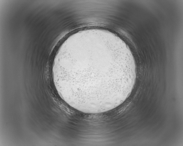 X0000067330875200604281416