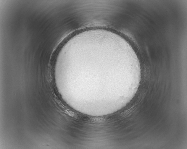 X0000067330878200604281416