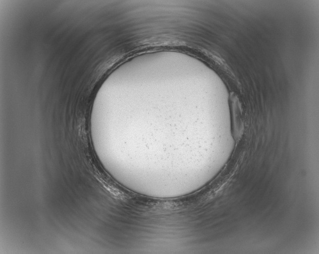 X0000067330881200604281416