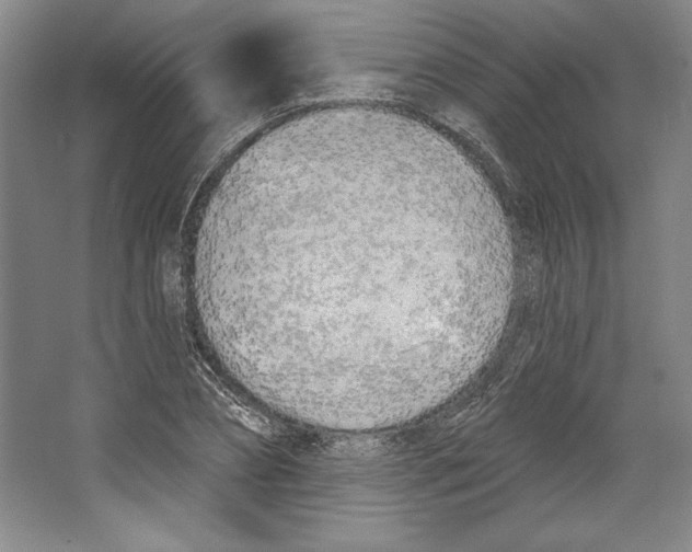 X0000067330882200604281416