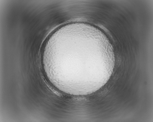 X0000067330886200604281416