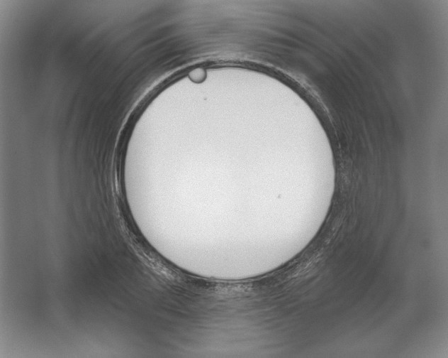 X0000067330887200604281416