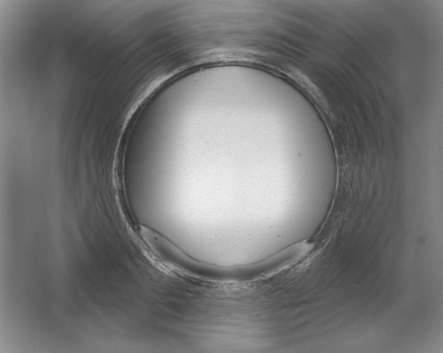 X0000067330893200604281416