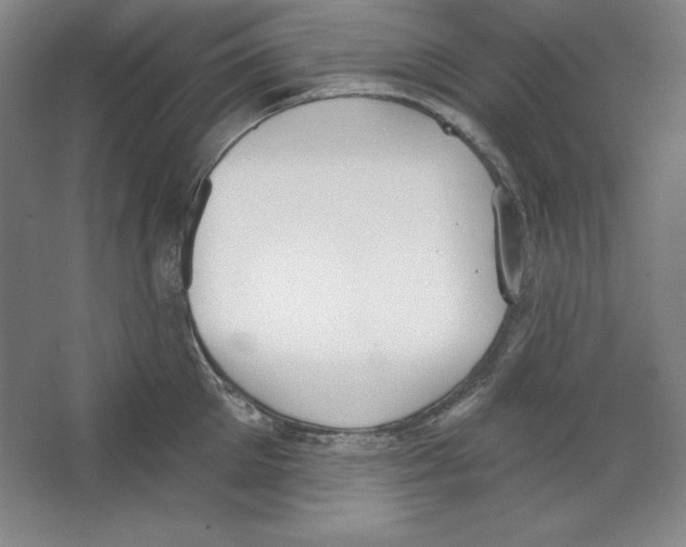 X0000067330905200604281416