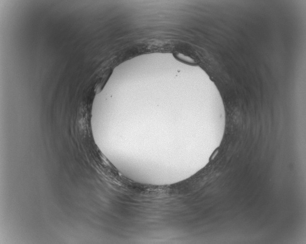 X0000067330914200604281415