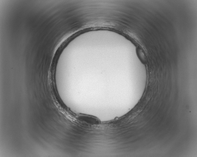 X0000067330928200604281415