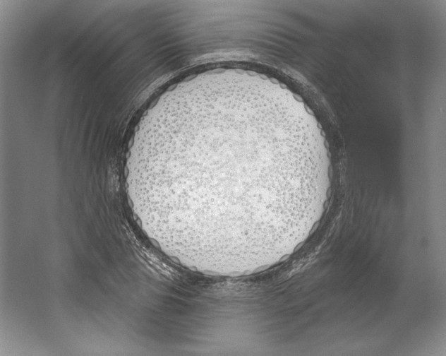 X0000067330929200604281415