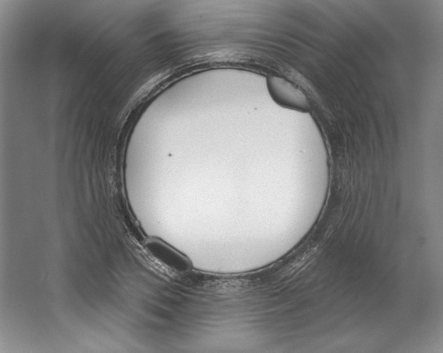X0000067330930200604281415