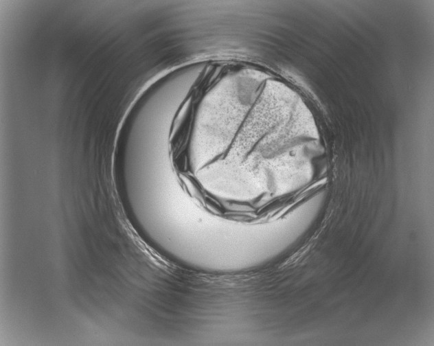 X0000067330932200604281415