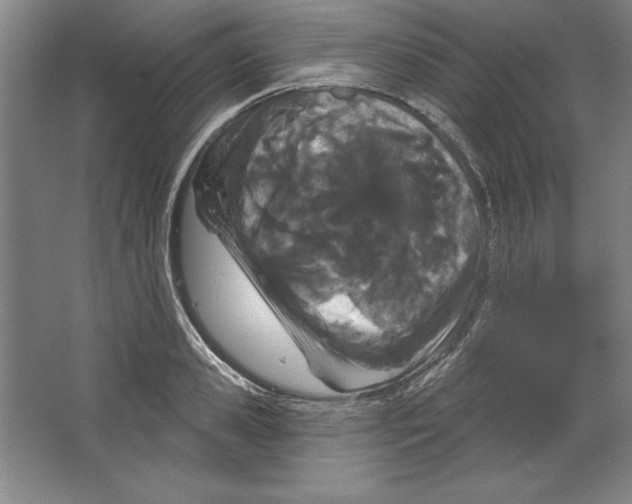 X0000067330941200604281415