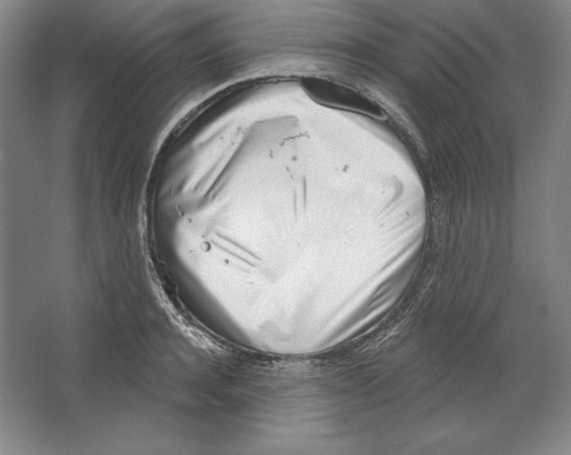 X0000067330944200604281415