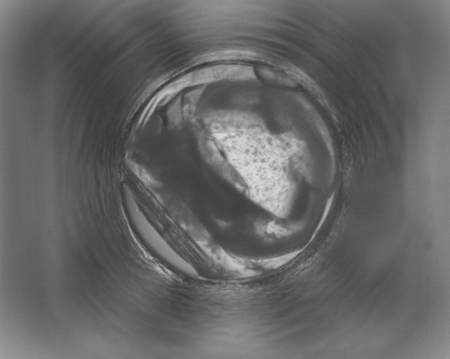 X0000067330945200604281415