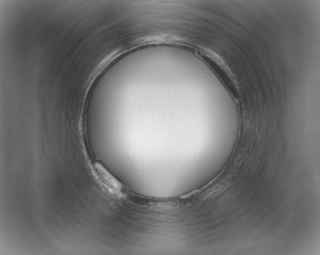 X0000067330946200604281415