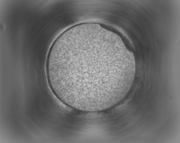 X0000067330959200604281415