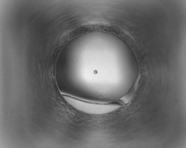 X0000067330965200604281415
