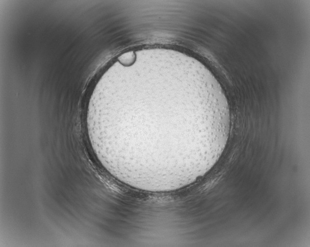 X0000067330978200604281414